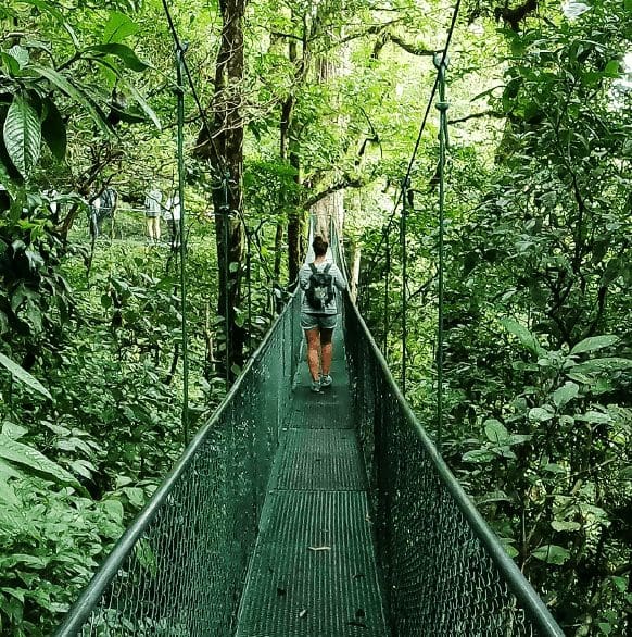 senderos de montaña