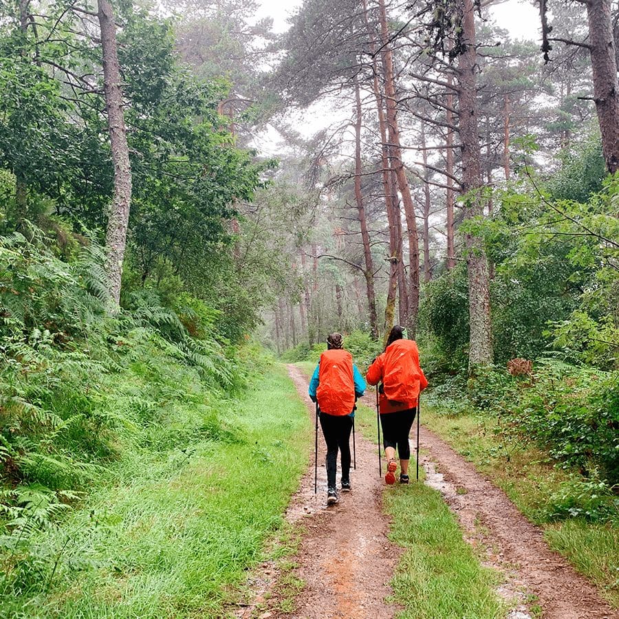 senderos en Camino de Santiago Primitivo